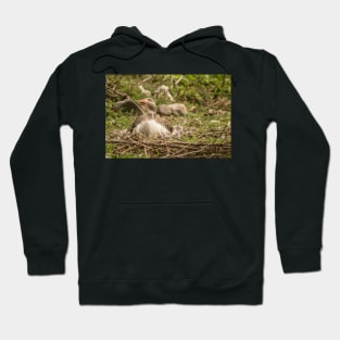 91916 goose goose Hoodie